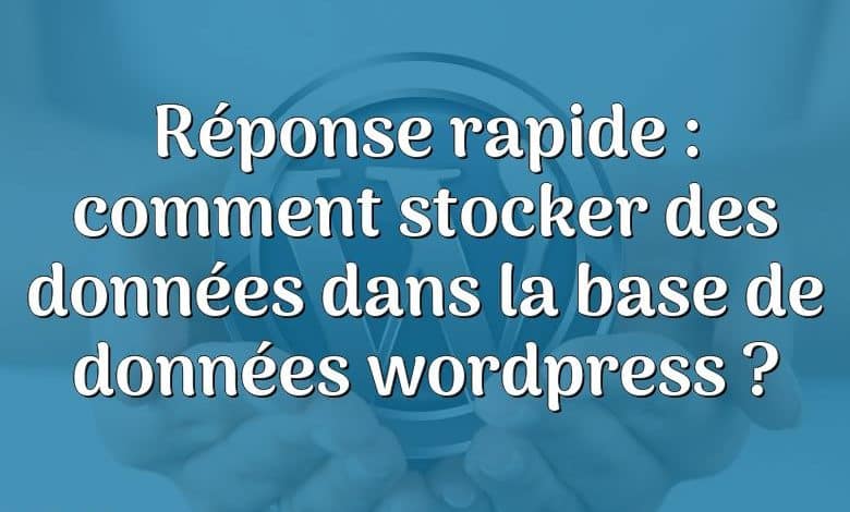 Réponse rapide : comment stocker des données dans la base de données wordpress ?